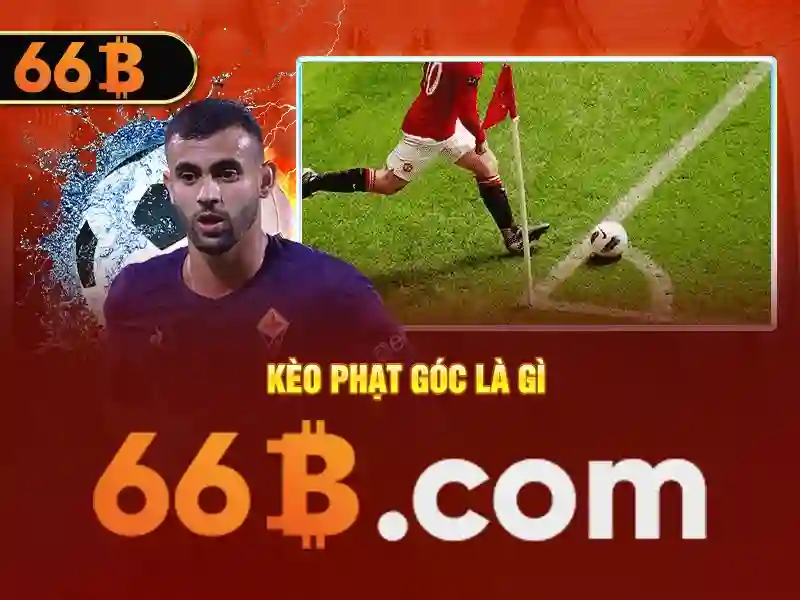 tải 66b – Dẫn đường công nghệ và cộng đồng