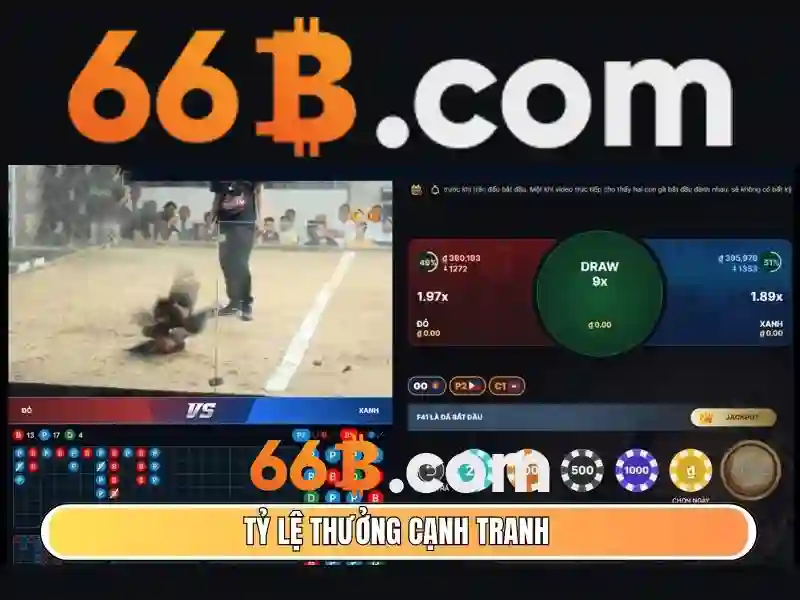 stevens 66b – tổng quan chủ đề và giá trị cốt lõi