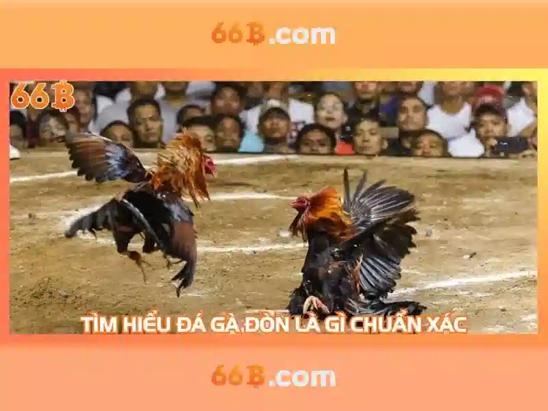 66b nguyễn sỹ sách p15 quận tân bình – sản phẩm và dịch vụ chủ đạo