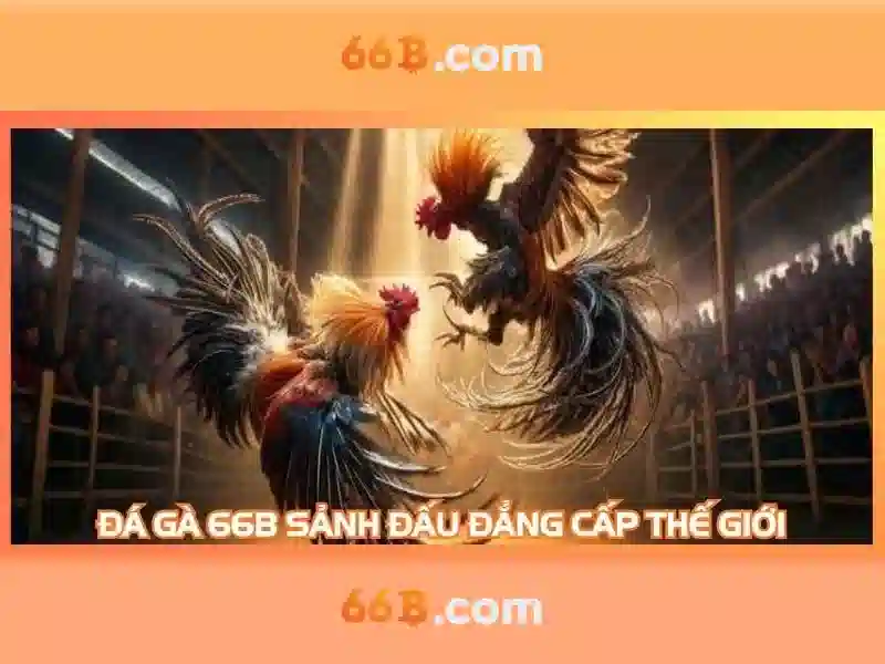 66b-nap-tien-visual