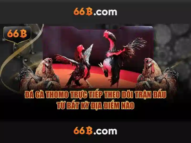 Banner 66b trên the thao