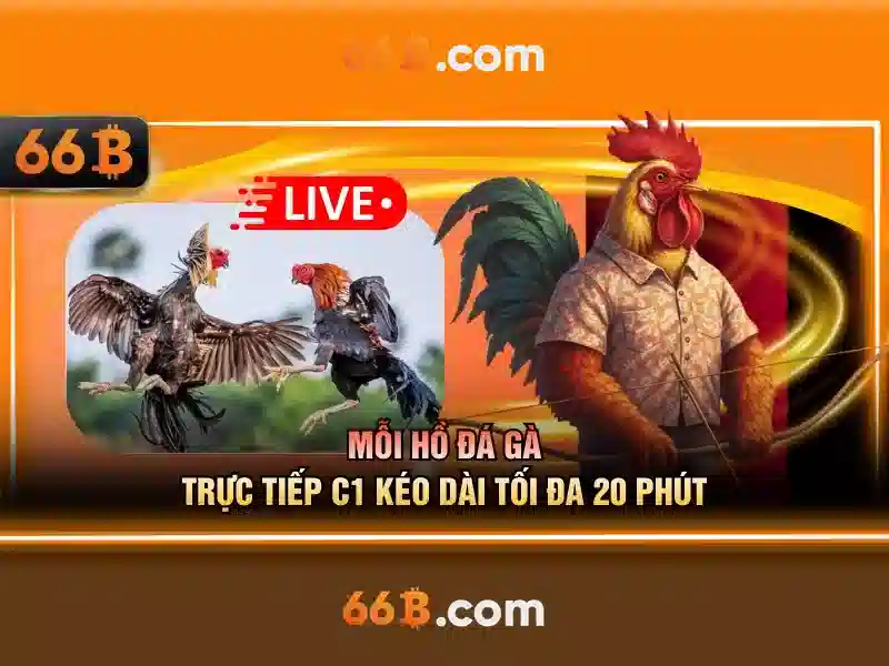 66b võ thị sáu – phường 6 – quận 3 – hồ chí minh: tổng quan và hành trình Giao diện nhà cái hoàn hảo